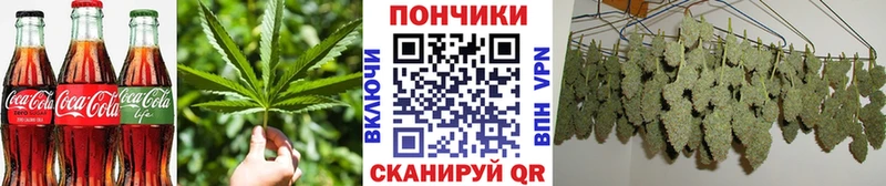Cannafood конопля  darknet телеграм  Зерноград 