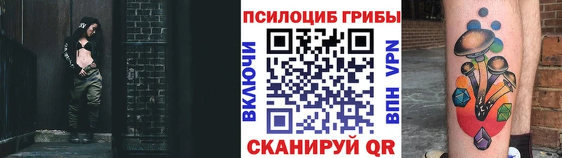 закладки  Зерноград  Галлюциногенные грибы GOLDEN TEACHER 